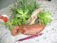 /album/galeria-de-fotos-mini-jardins-de-catos/imagem-de-2013-033-jpg/